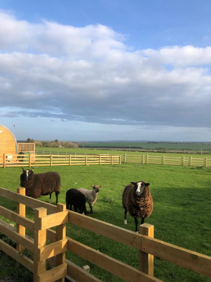 Caithness View Luxury Farm Lodges Wick  Exterior foto