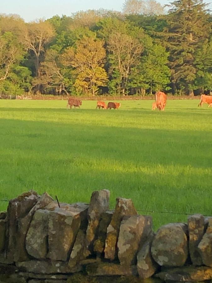 Caithness View Luxury Farm Lodges Wick  Exterior foto